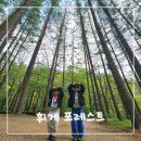 평창문익점펜션 | 여긴 무조건 다시간다!! 휘게포레스트 예약부터 후기까지