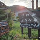 느티나무cafe 이미지