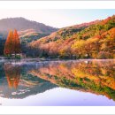 만추 - 달성군 테크노상업로4길 17-1 | 만추