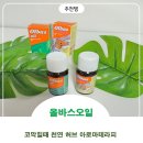 대자연약국 | 알레르기비염에 추천! 코막힘 뚫느는법, 천연 유칼립투스 올바스 오일 사용후기