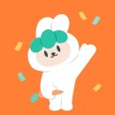 필리핀 보홀 여행 페소 환전 트래블월렛 BPI ATM 인출 방법 후기