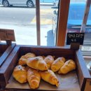 오베르망 이미지