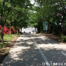 포항철길숲 이미지