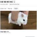 대림봄치과 | 🦷🦇🥖🥭🥮