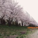 꿈동산공인중개사사무소 이미지