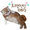 목화악기 - 부산진구 중앙대로 888-9 | 목화악기