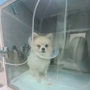 경상동물병원 이미지