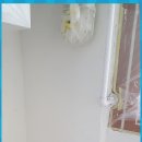 해솔바이오 이미지