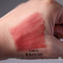 CU 테크노지니점 | 시세이도 테크노새틴 젤 립스틱 409 / 학생 메이크업 데일리립