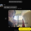 [D+9~13] 호주 브리즈번 워홀 - 9월 둘째주(페리,뉴팜,풋살,호주레쥬메,호주잡구하기)