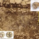 무덤의 흔적 이미지