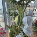 포시즌스튜디오