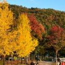 쌍이리귀바위 이미지