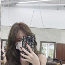 그레이스헤어 이미지