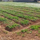 남해-294 이미지