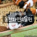 동천농장 | 용인 동천 자연식물원 아기랑 가기 좋은 동물원·자연놀이터·레일썰매 후기