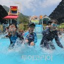 천동물놀이장 이미지