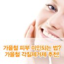 홍영애 이미지