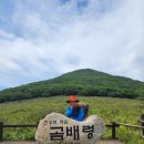 곰배령 꽃길 | 천상의화원 곰배령 예약 강원도 인제 가볼만한곳