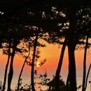 오아시스약국 이미지