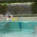 우정자동차정비 | 부천 올데이파티 키즈풀 수영장 버블룸 포토존 대만족 후기