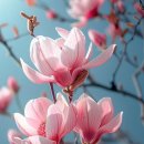 Magnolia 이미지