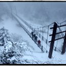 (주)한유투어 이미지