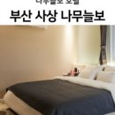 나무늘보호텔 네이버블로그