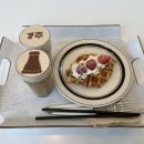 [부산 온천천 카페] 아덴블랑제리 온천천카페거리와 황령산 벚꽃 실시간 개화현황