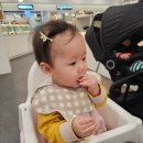 달다고미 이미지