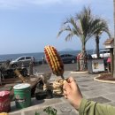 문어빵빵 이미지