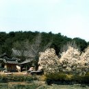 향교4로 이미지