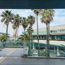 제주공항 픽업샌딩 가능 ! 셔틀버스 운행하는 “노블레스관광호텔”