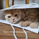 이마트에브리데이 성대점 이미지