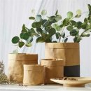 오리엔탈 이미지