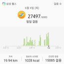 오름꽃 이미지