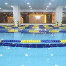 마린슐레 이미지