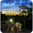 2018 광명동굴 한여름밤의 영화제 | 광명시 가볼만한 곳 - 한 여름밤에 즐기는 광명동굴 야간개장