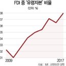 유령 FDI 이미지