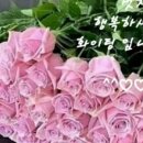 마음들꽃