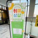 대전원데이클래스페스티벌 취미상점소개 세이백화점행사일정 후기(12월10~12월 12일)