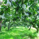 죽백2리마을회관 이미지