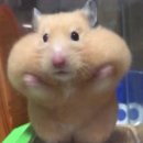 씨유 영통살구마을점 | 아름다운 Merry Merry