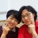 명애백반 Daum카페