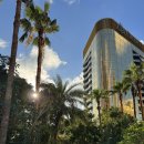 (주)사조그랜드리조트 | 거대한 스케일에 압도 되었던, 마카오 그랜드덱 후기!!!