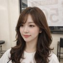 J.J헤어보고