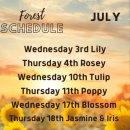 포레스트힐어학원 | 쿠알라룸푸르 프림로즈힐, 어학원 대신 선택한 해외 한달살기 솔직 후기