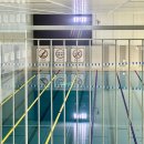 종합운동장 스포츠센터 | 성남종합운동장 스포츠센터 주말 자유수영 시간 요금 주차장 정보