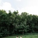 5883 | w3))수원 행궁동 신상 하우스 스튜디오 CIELOSOPRA 씨엘로소프라 Signature 패키지 계약후기♥