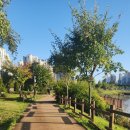 모산골어린이공원 이미지